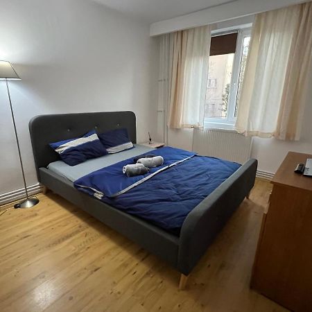 Apartment 2 Camere Centru Piata 700 蒂米什瓦拉 外观 照片