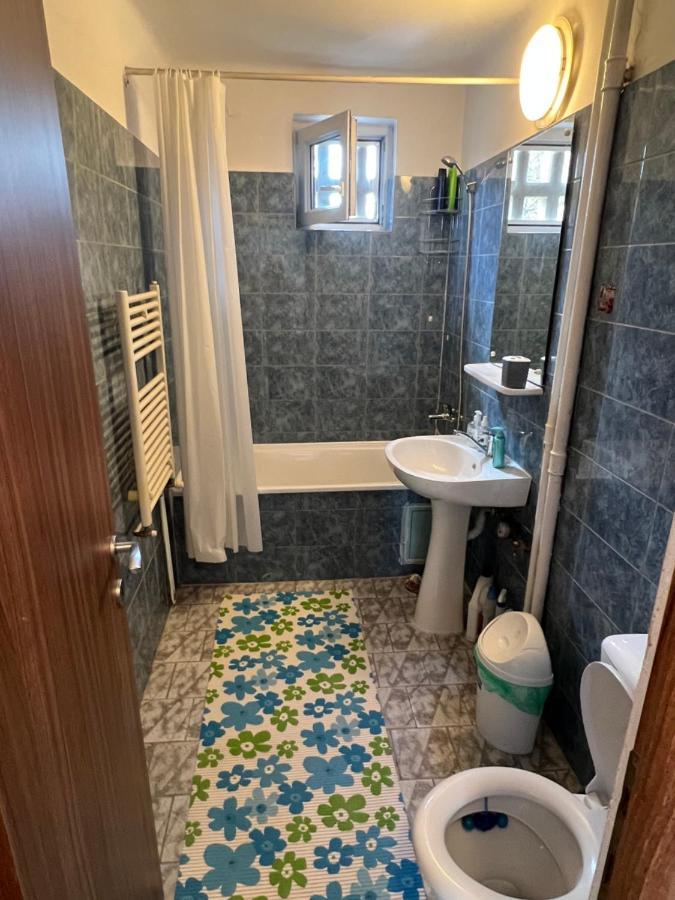 Apartment 2 Camere Centru Piata 700 蒂米什瓦拉 外观 照片